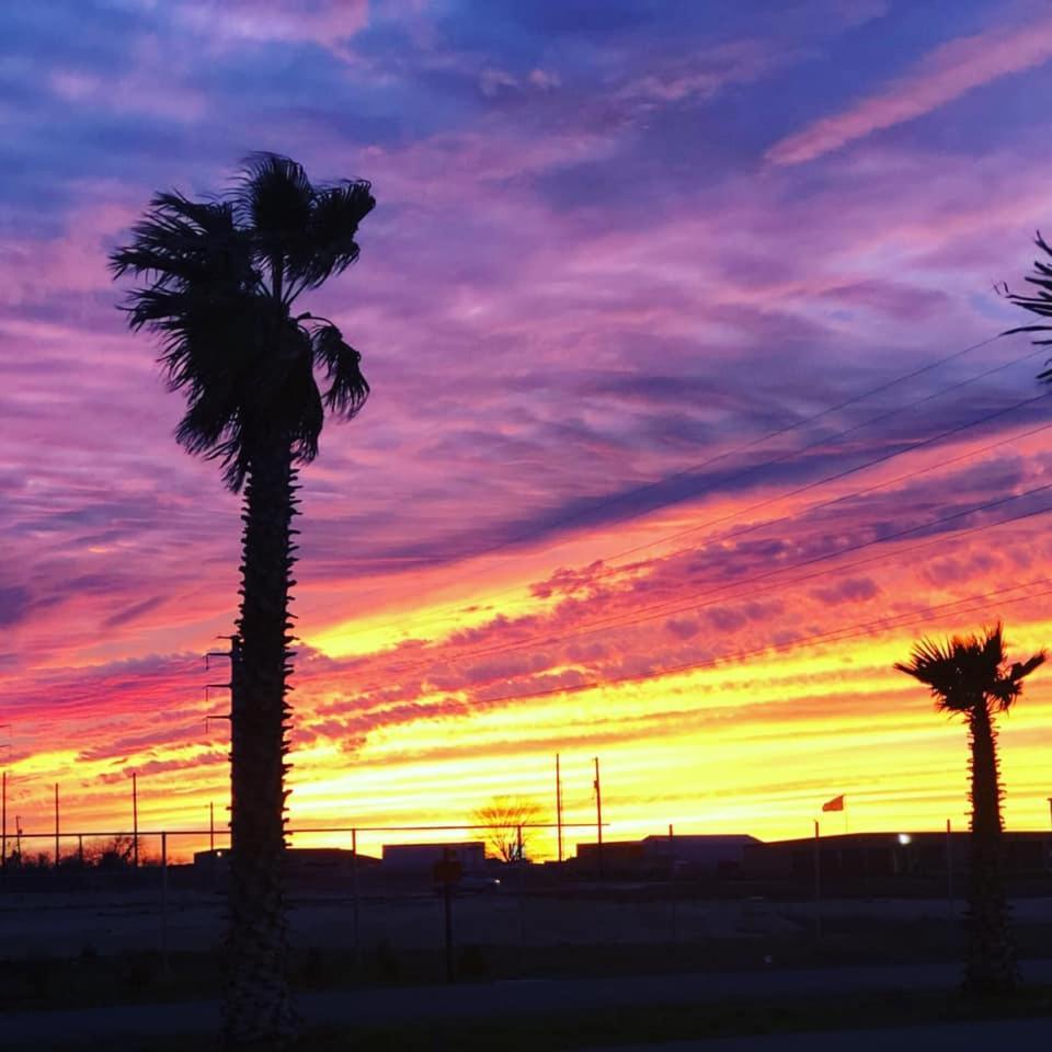 Rivercity Rv Park نيو بروانفيلز المظهر الخارجي الصورة
