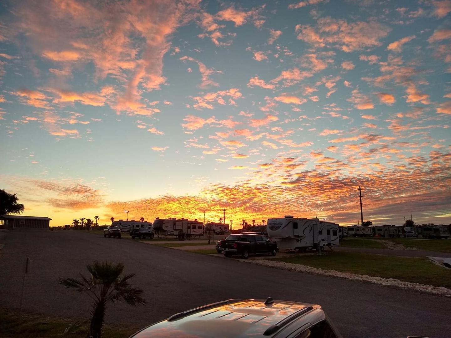 Rivercity Rv Park نيو بروانفيلز المظهر الخارجي الصورة